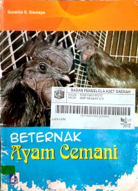 Beternak ayam cemani