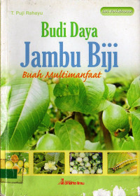 Budi daya jambu biji : buah multimanfaat