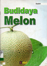 Budidaya Melon