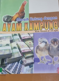 Meraih Untung dengan Ayam Kampung