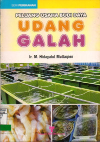 Peluang Usaha Budi Daya Udang Galah