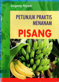 Petunjuk praktis menanam pisang