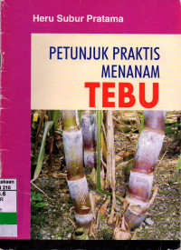 Petunjuk praktis menanam tebu